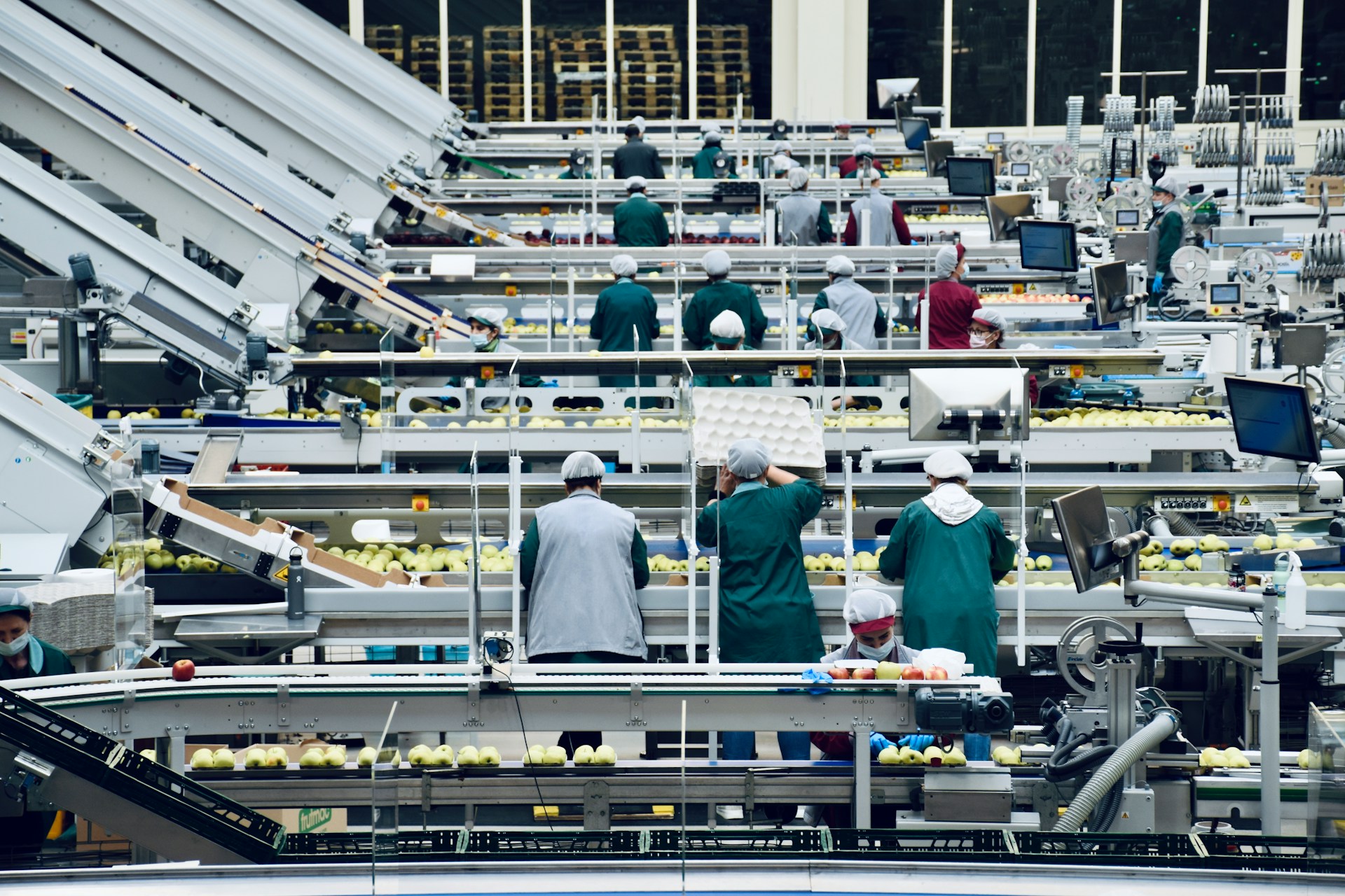 Supply Chain
